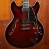 D'ANGELICO PREMIER DC BROWN BURST INCL BAG