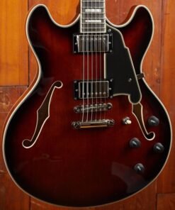 D'ANGELICO PREMIER DC BROWN BURST INCL BAG