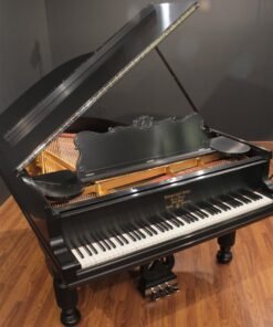 Steinway Model A-II Victorian Restored Grand Piano 6'1''