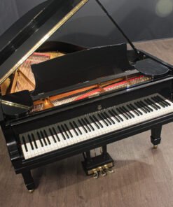 Steinway Hamburg Model A 6' Grand Piano Ébano Pulido (Restaurado en 2024)