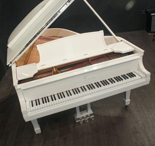 Steinway Model L 5'10'' Grand Piano (Restaurado 2024)