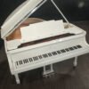 Steinway Model M 5'7'' Grand Piano (Restaurado 2024)