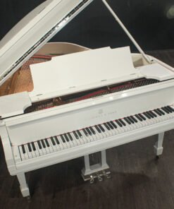 Steinway Model M 5'7'' Grand Piano (Restaurado 2024)