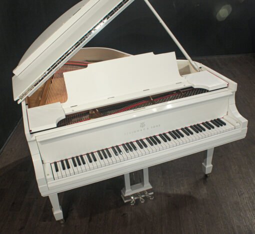 Steinway Model M 5'7'' Grand Piano (Restaurado 2024)