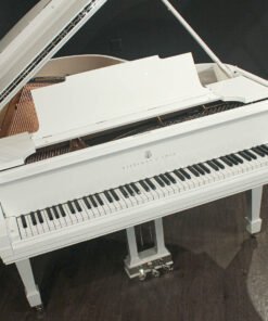 Steinway Model M 5'7'' Grand Piano (Restaurado 2023)