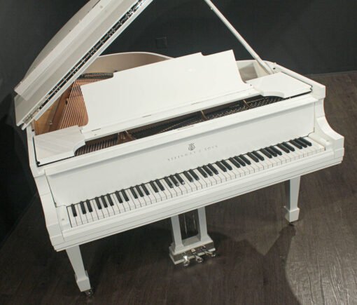 Steinway Model M 5'7'' Grand Piano (Restaurado 2023)