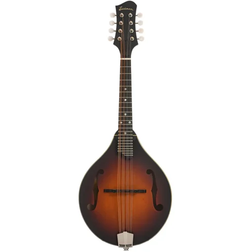 Mandolino Eastman MD305E-SB